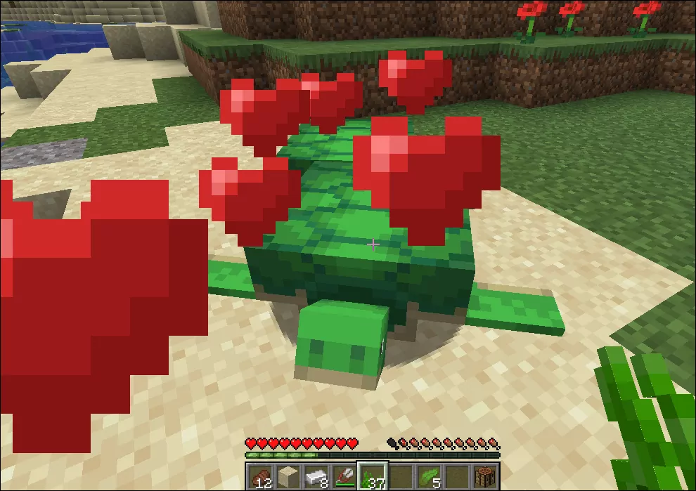 How to Breed Turtles in Minecraft