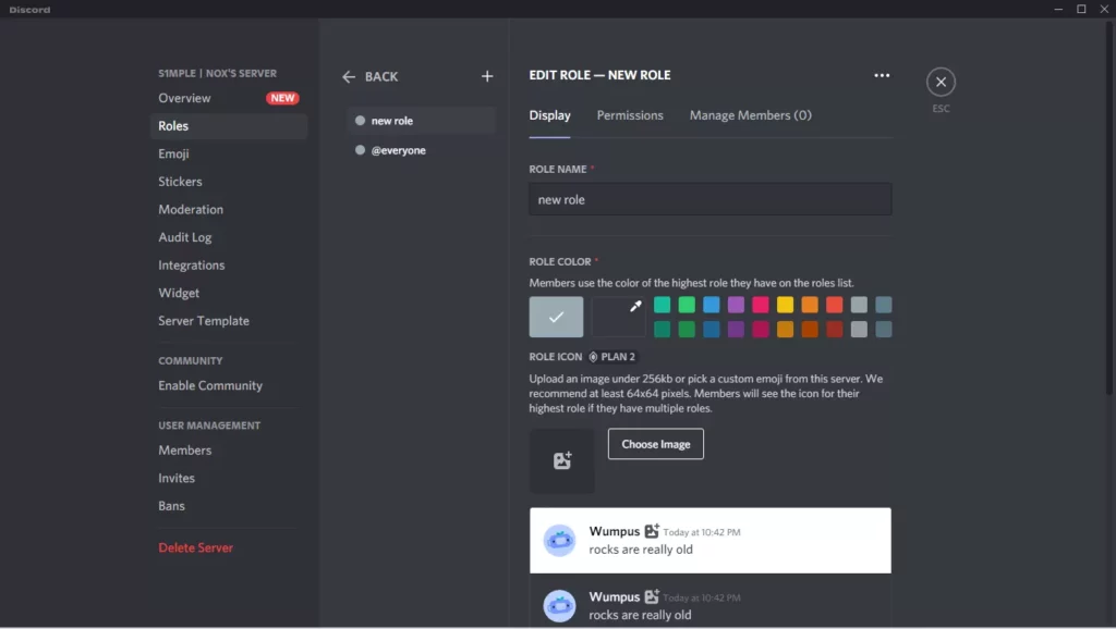 discord change name color