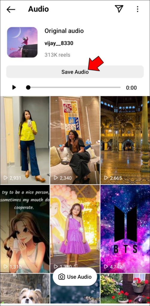 Save audio option on Instagram reels