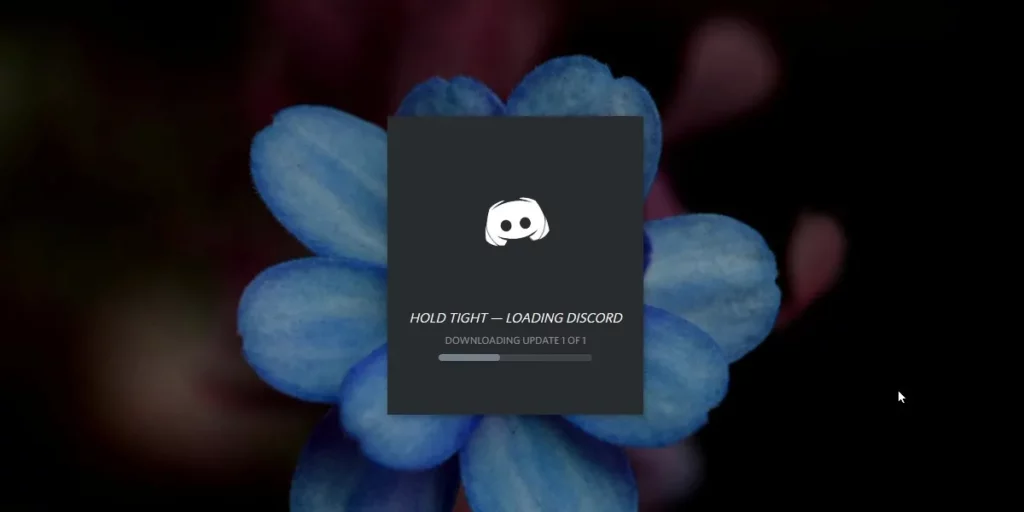 Why Can't I Play Videos on Discord